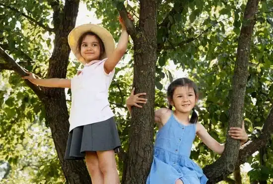Kinderen in boom