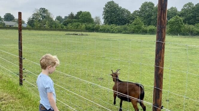 Kind met dier