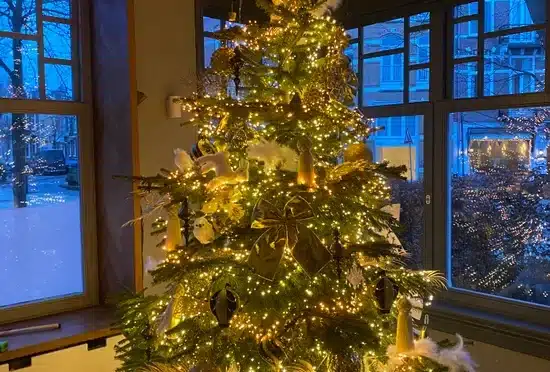 Kerstboom