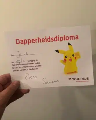 dapperheidsdiploma