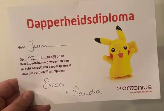 dapperheidsdiploma
