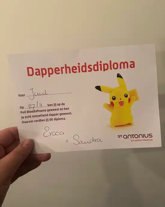 dapperheidsdiploma