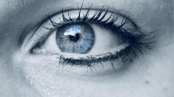 Oog