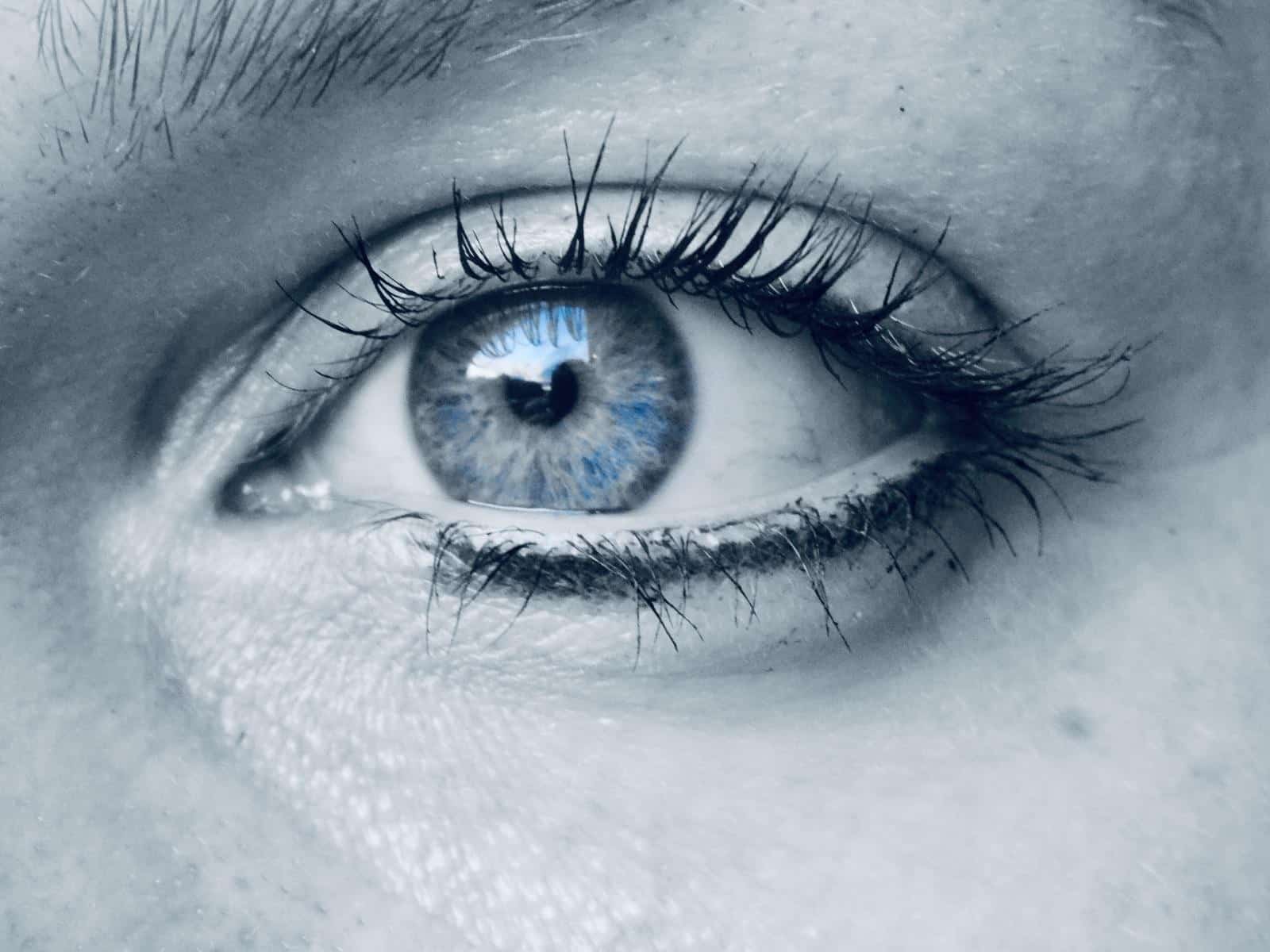 Oog