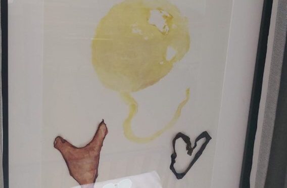 schilderij placenta