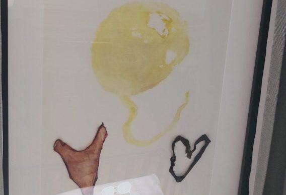 schilderij placenta