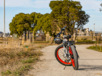 fatbike