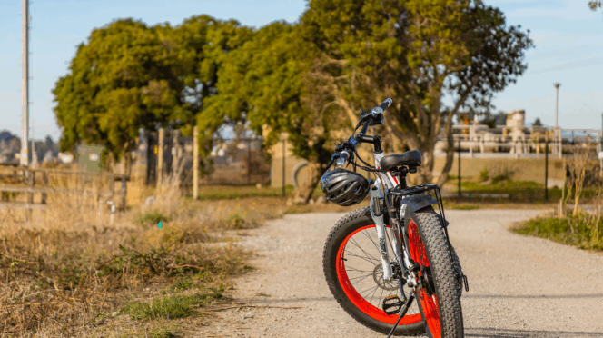 fatbike