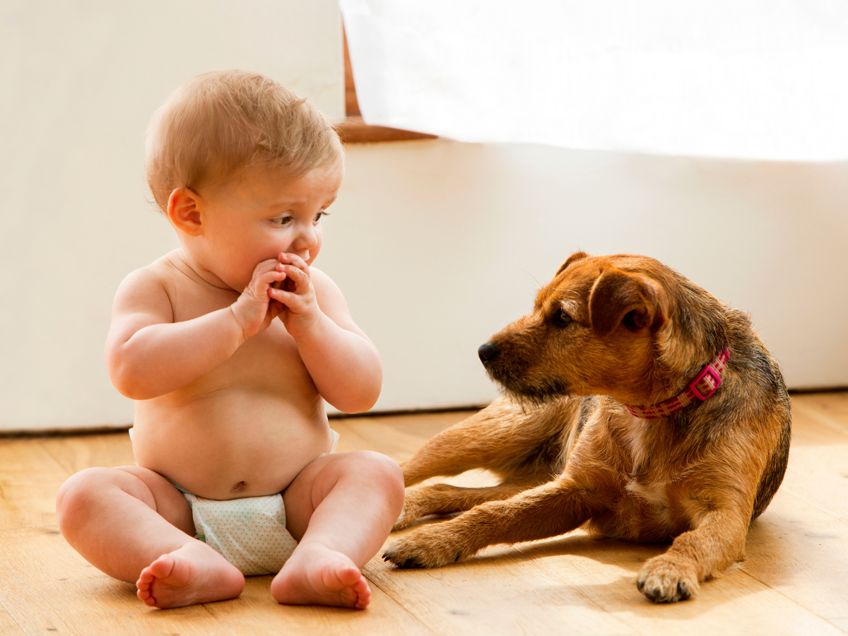 baby en hond