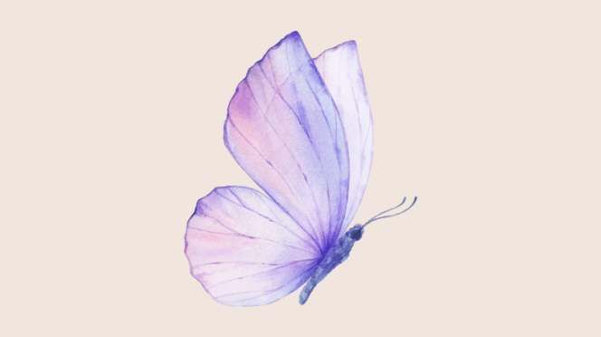 verlies baby vlinder illustratie