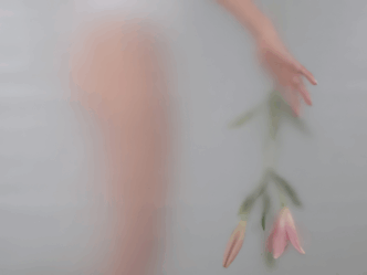 Jasmina Borgeld bloemen