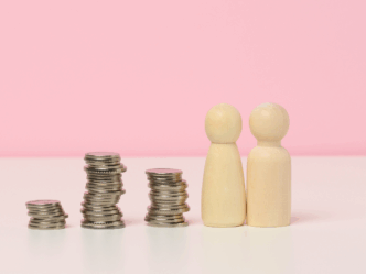 Huishoudboekje roze poppetjes muntjes