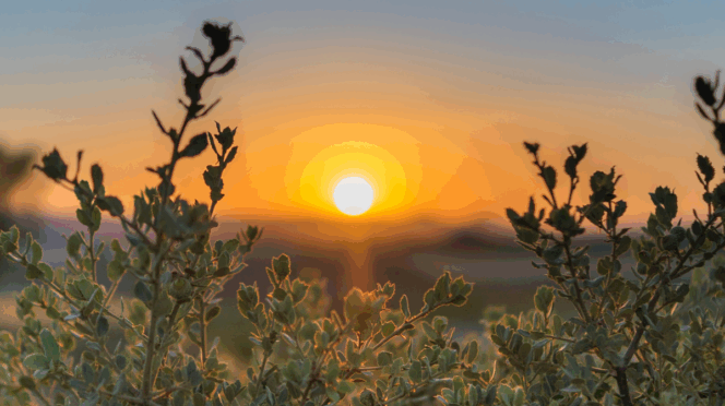 dag van de operatie aan het hart van kind