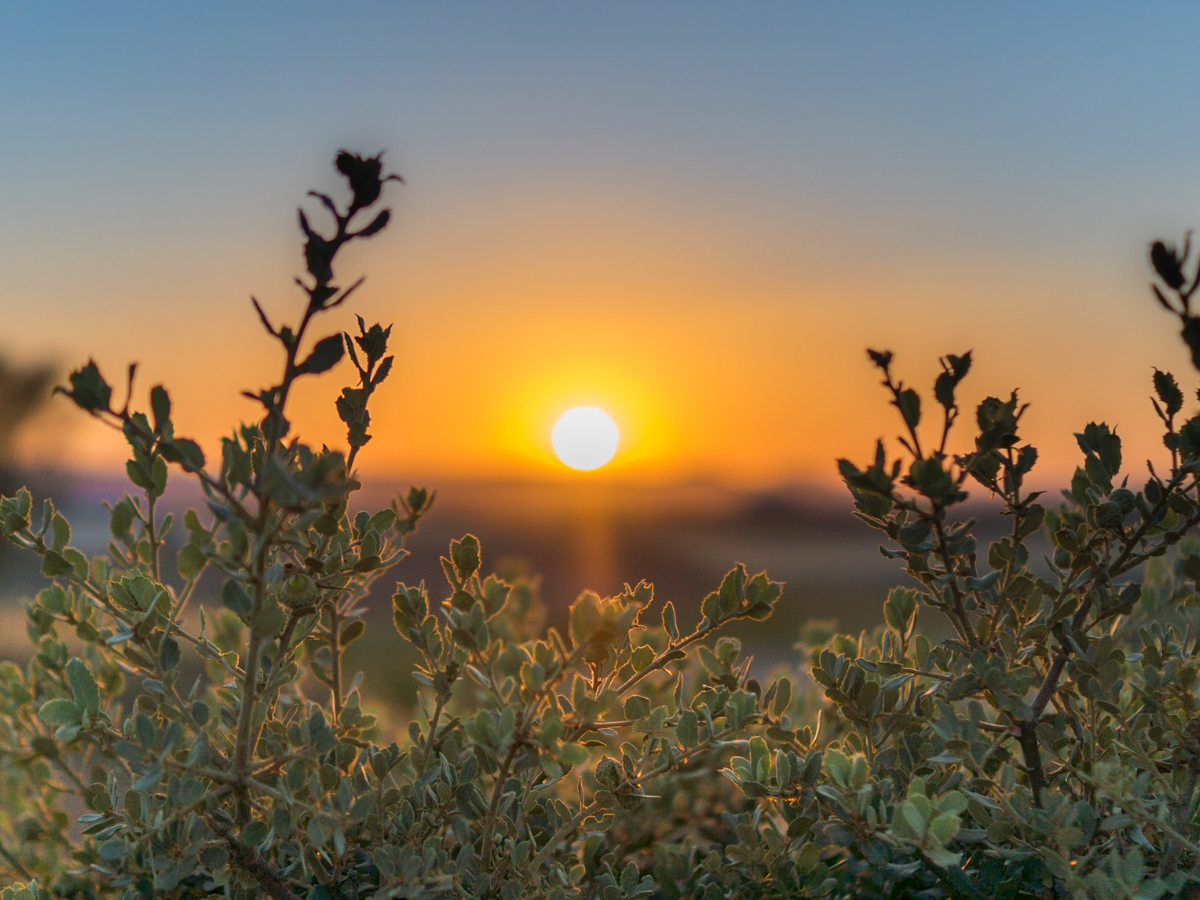 dag van de operatie aan het hart van kind