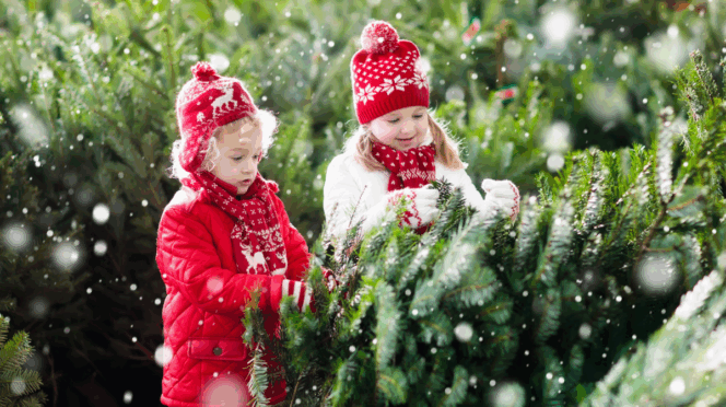 kinderen minder cadeaus