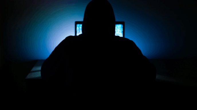 online misbruik limburg