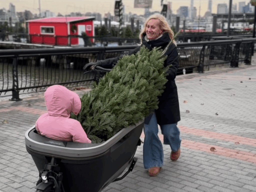 verhuizen naar Amerika met kinderen elseniek in de bakfiets met een kerstboom