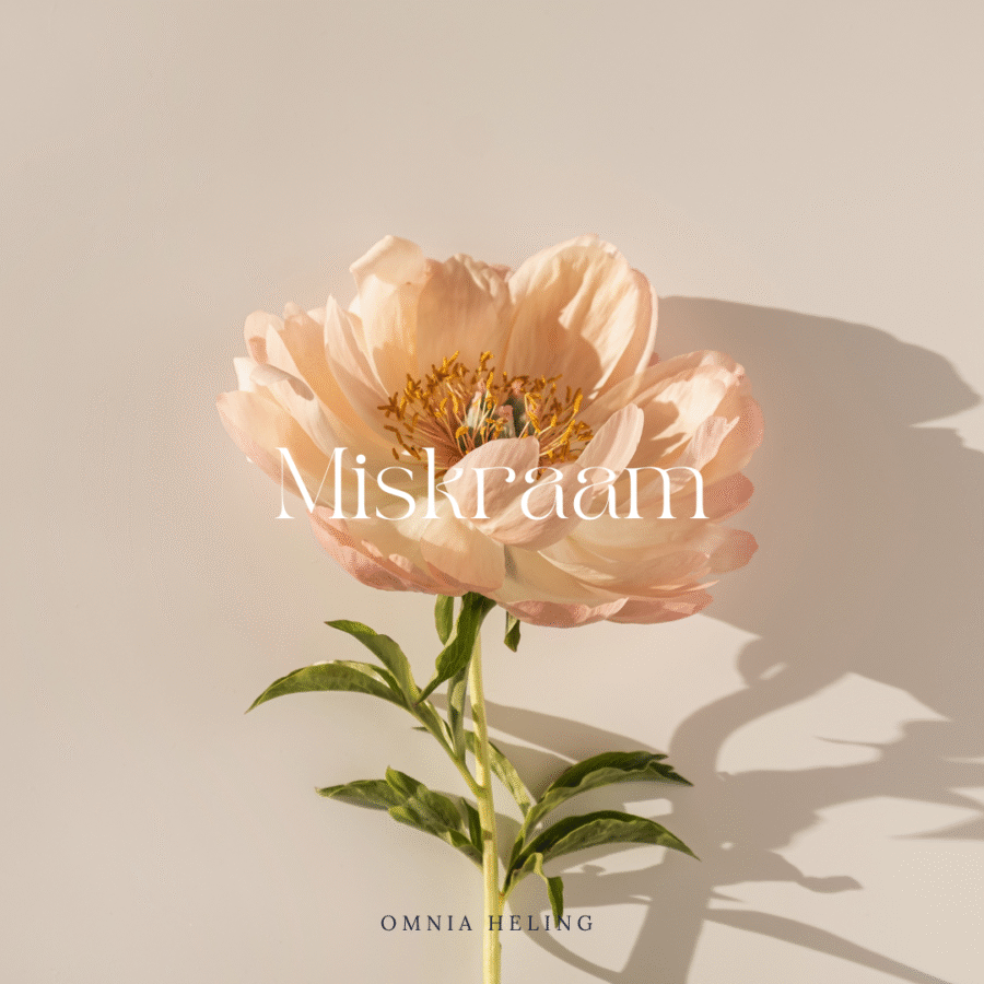 miskraam verwerken lichtroze bloem