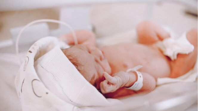 hersenschade premature baby foto van baby in couveuse