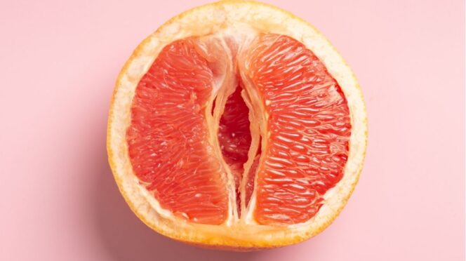 meisjes leren over vulva