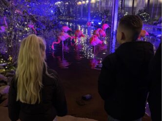 contact verbreken met moeder foto van gezin harriet