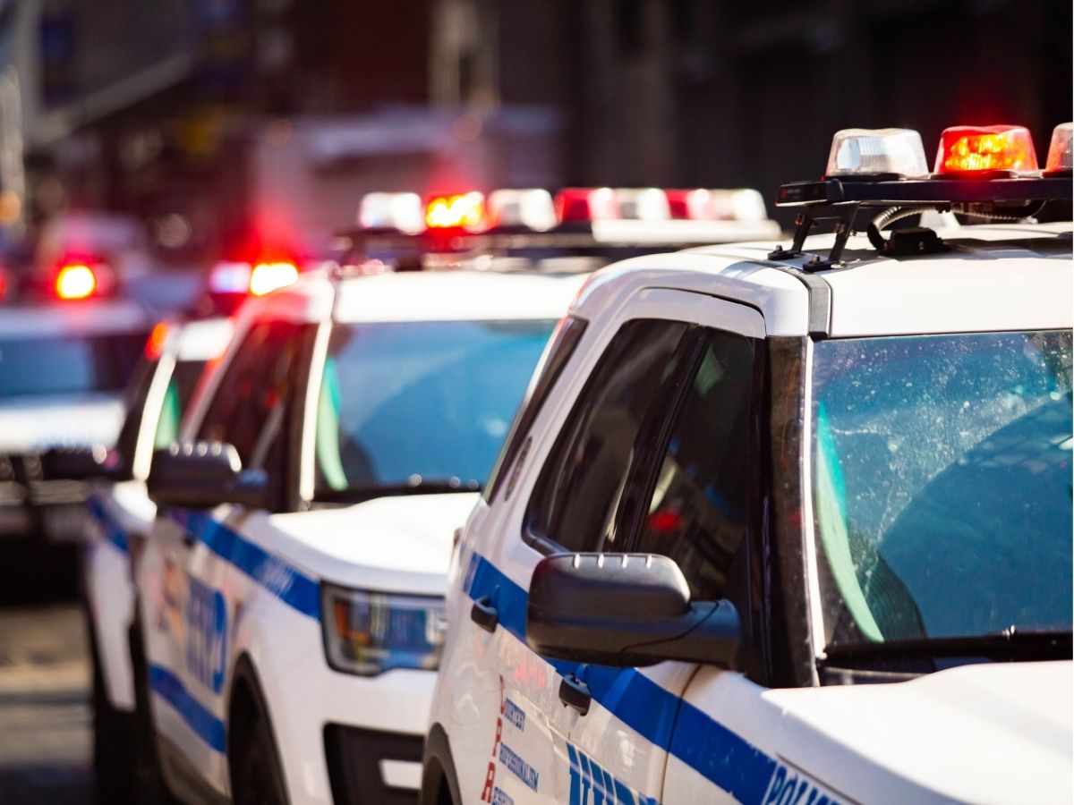 peuter krokodillenverblijf foto van politieauto's