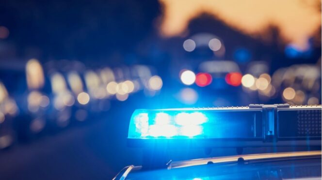 Australische moeder zoontje foto van politieauto